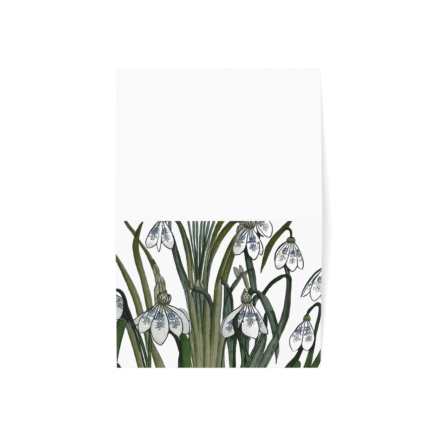 Botanical Greeting Cards (1, 10, 30, and 50pcs)