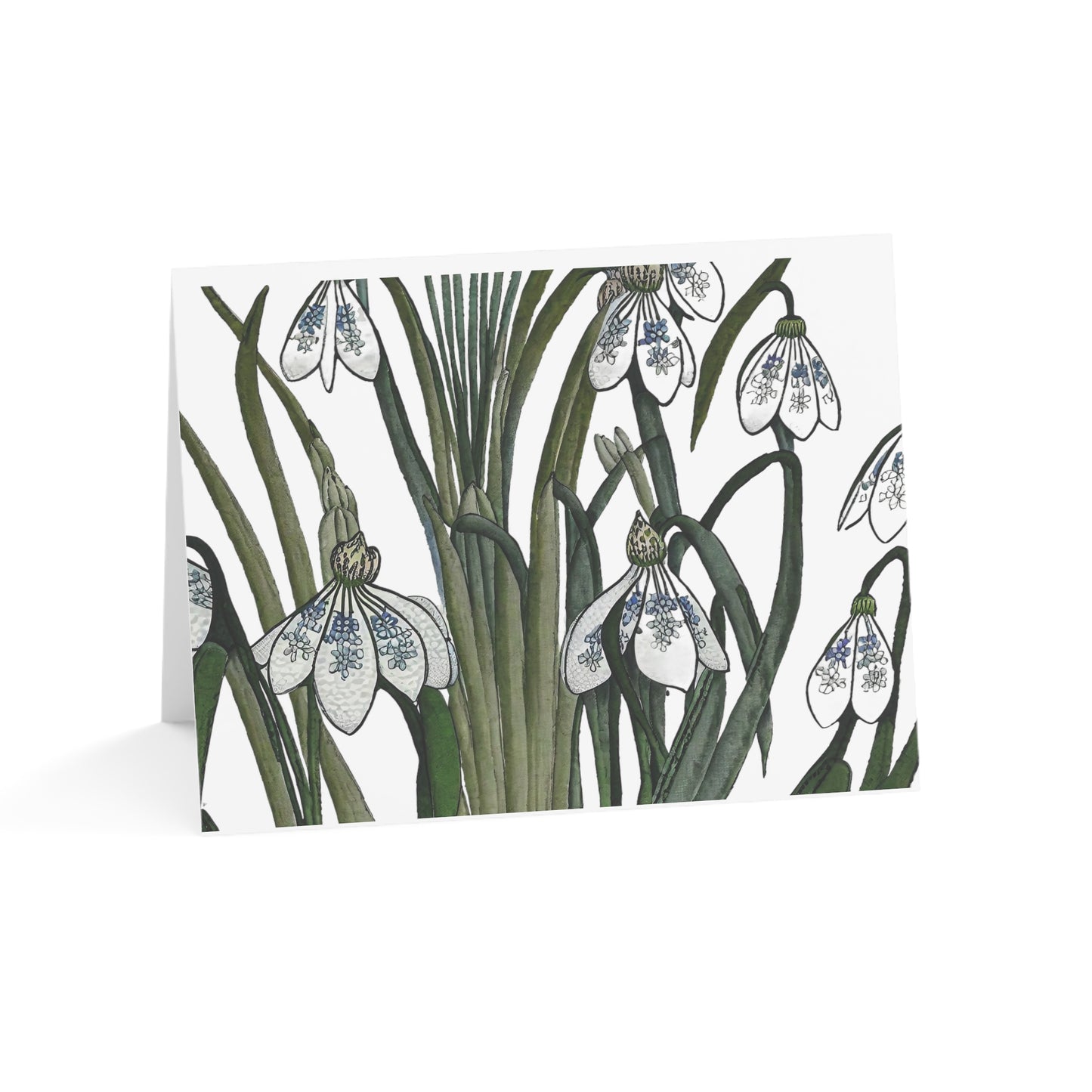 Botanical Greeting Cards (1, 10, 30, and 50pcs)