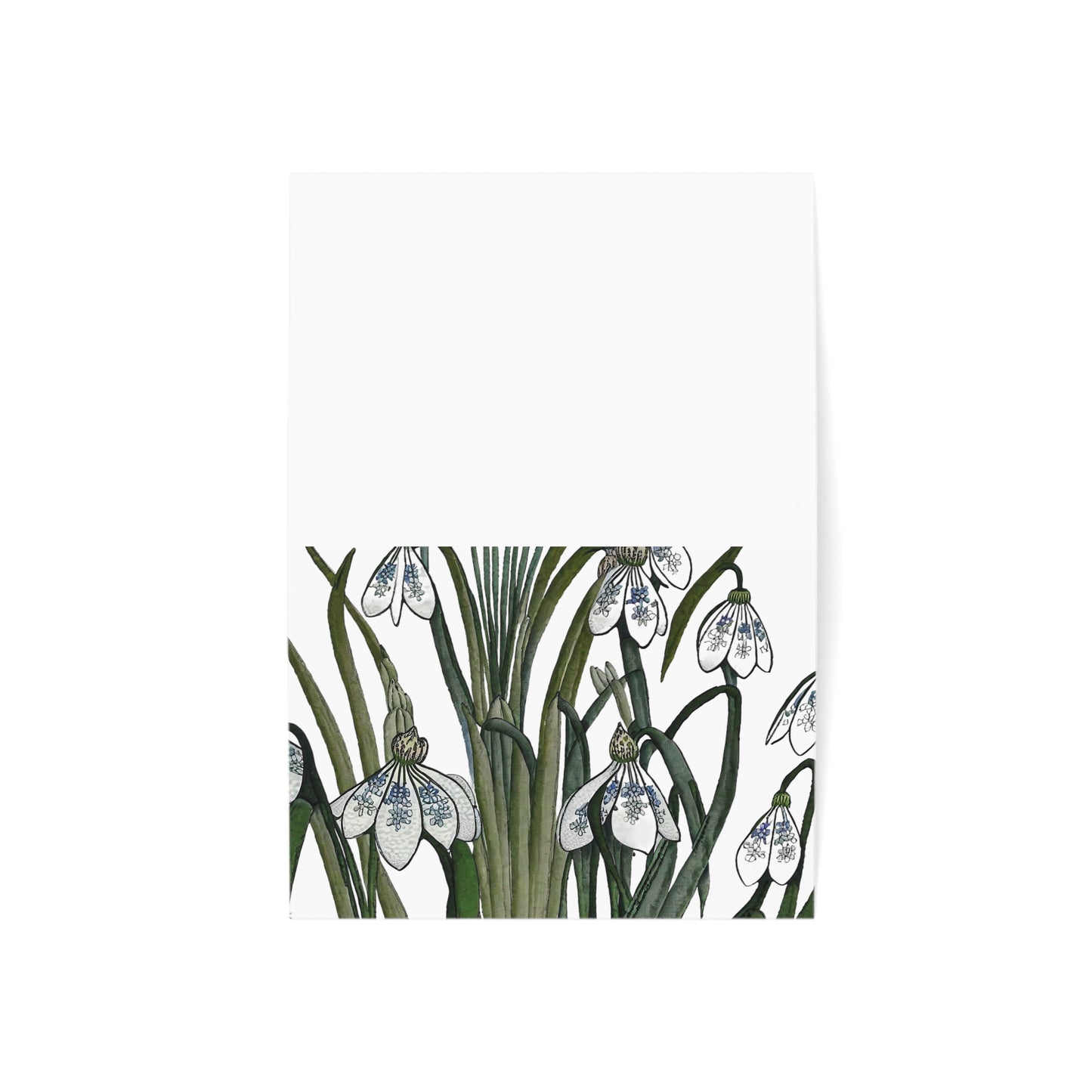 Botanical Greeting Cards (1, 10, 30, and 50pcs)